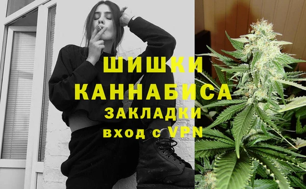 дживик Абинск