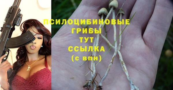 дживик Абинск